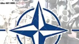 KSČM, 25 let NATO stačilo